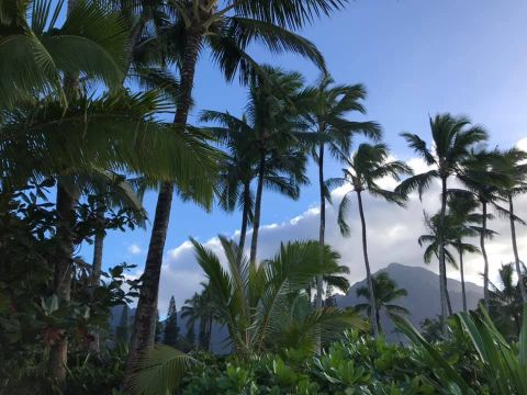 KAUAI EXPERIENCES: THINGS TO DO, SEE AND EAT!!
