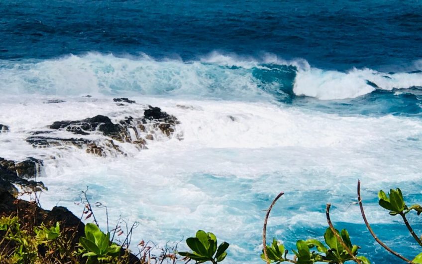 KAUAI EXPERIENCES THINGS TO DO, SEE AND EAT!! Blue Jade Real Estate